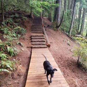 Meet your Posher, Terri